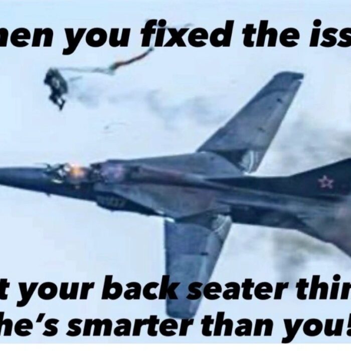 Jet pilot frustrated with co-pilot's intervention mid-flight.