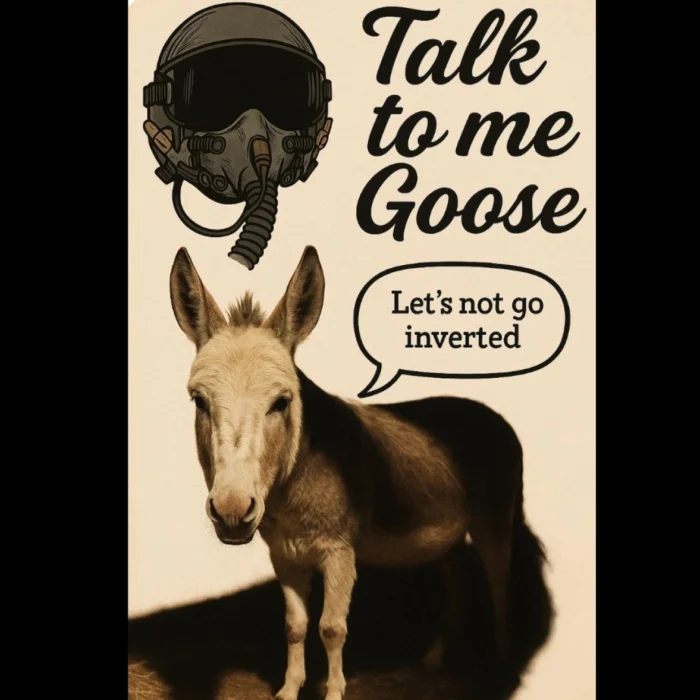 A donkey with a speech bubble saying, 'Let's not go inverted,' and text 'Talk to me Goose.'